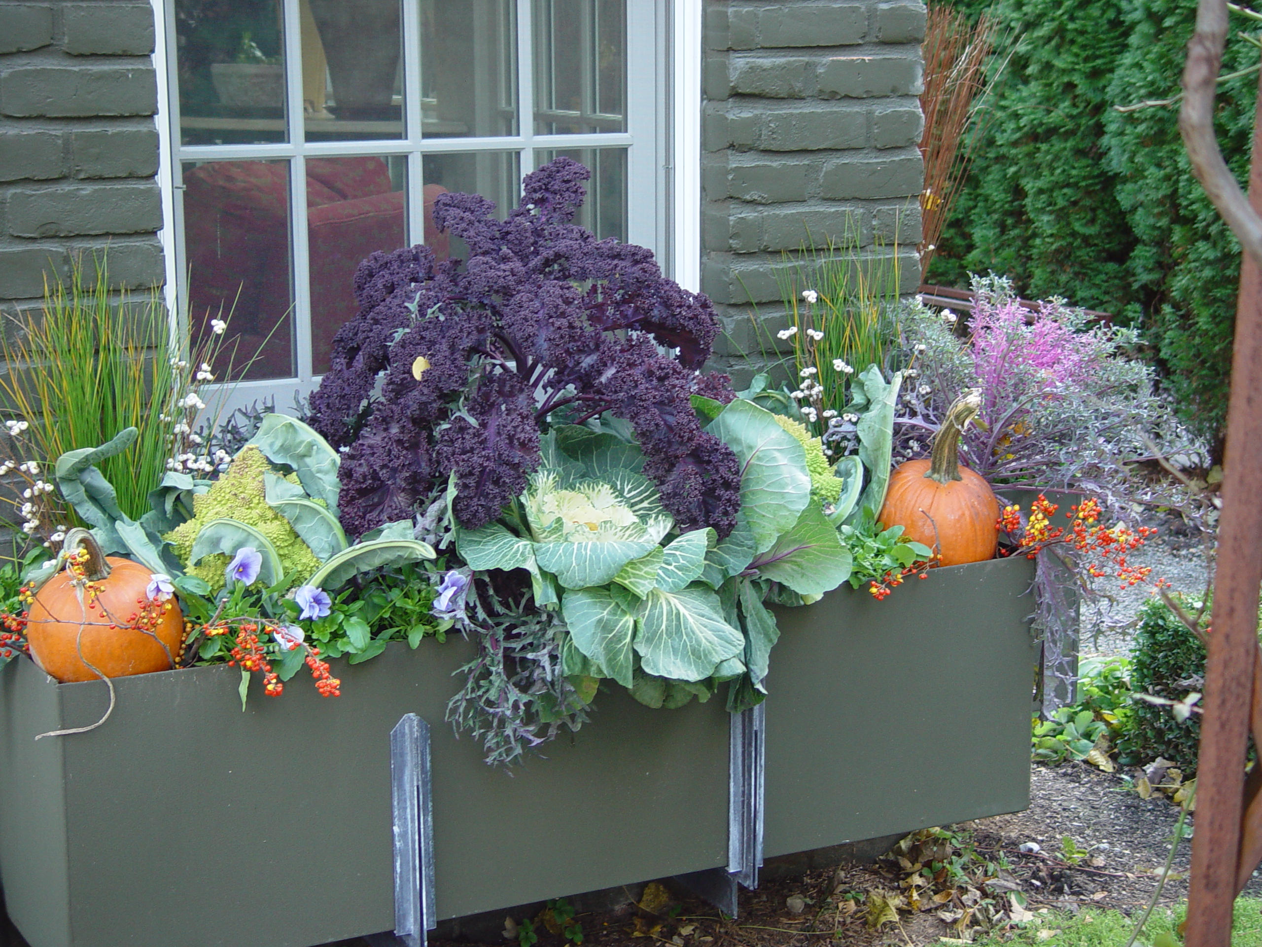 Pretty Fall Window Box and Container Ideas