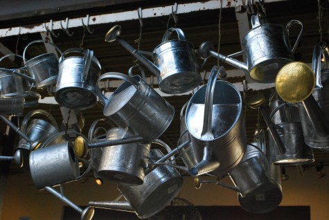zinc watering cans