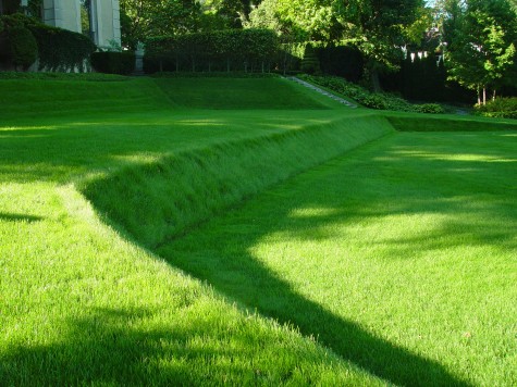 grass sculpture
