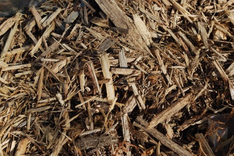  bark mulch