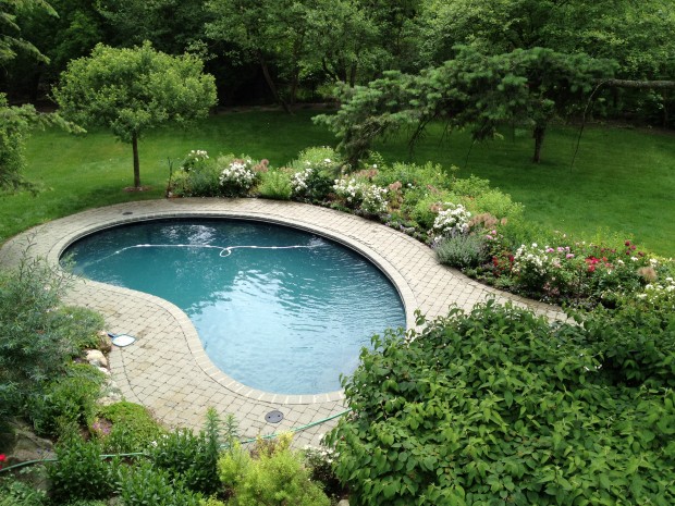 kidney shaped swimming pools
