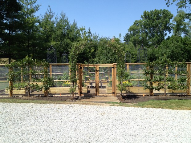 fenced vegetable garden