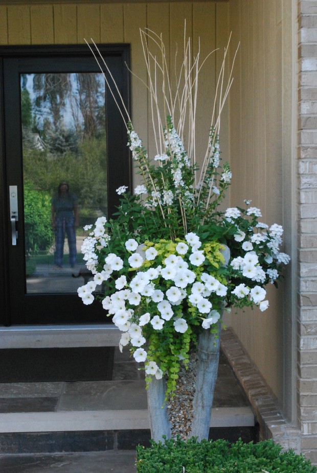 white container plantings