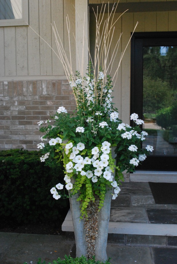 white container planting