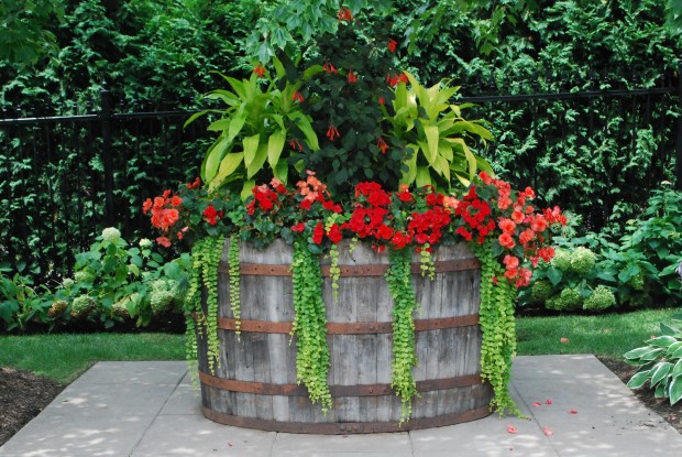 shade container plantings