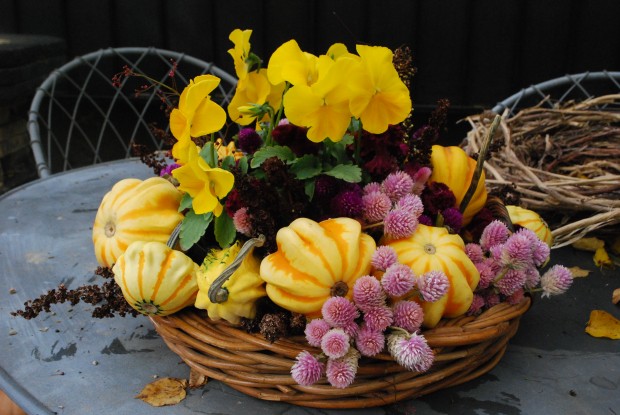 fall-fruits-and-flowers.jpg