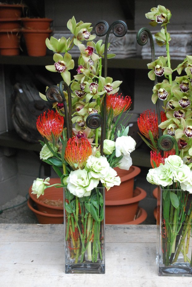 green-cymbidiums.jpg