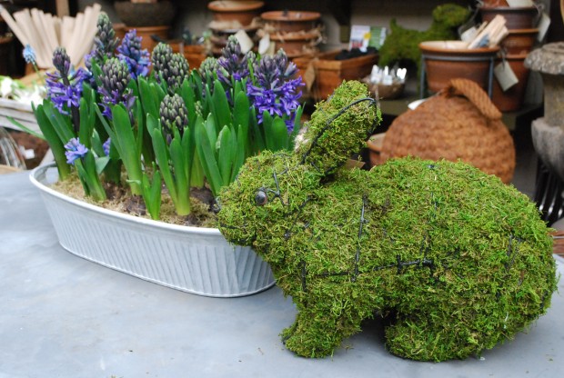 moss-rabbit.jpg