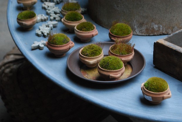 mini-urns-with-moss.jpg