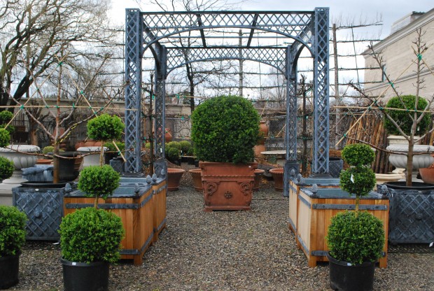 boxwood-topiary-spheres.jpg