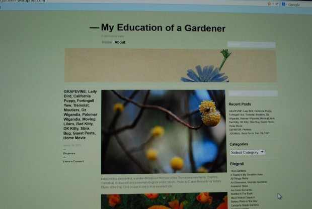 good-garden-blog.jpg