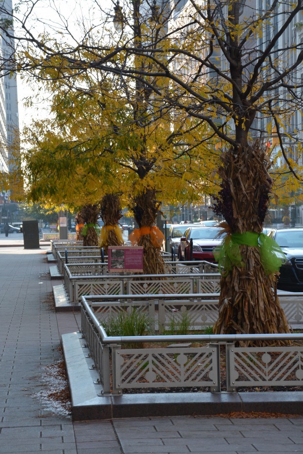 Woodward-Avenue-planters.jpg