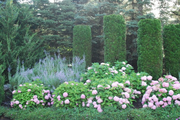 garden-and-topiary.jpg