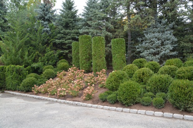 topiary-garden.jpg