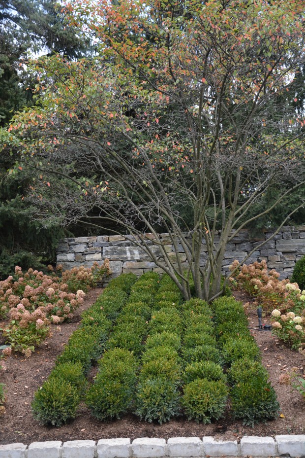 topiary-garden.jpg