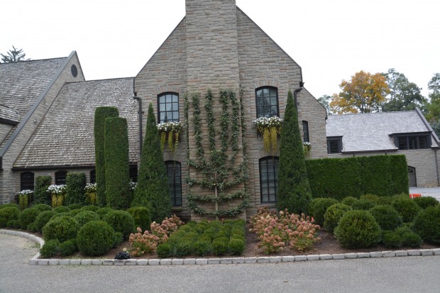 topiary-and-espalier.jpg