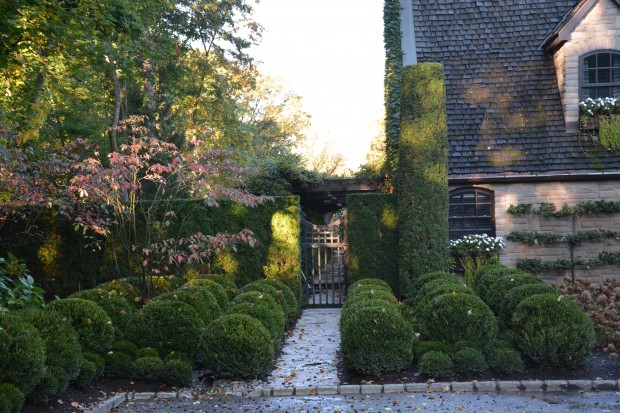 boxwood-garden.jpg