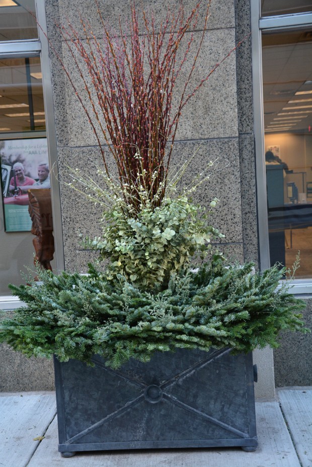 winter-container-arrangement.jpg