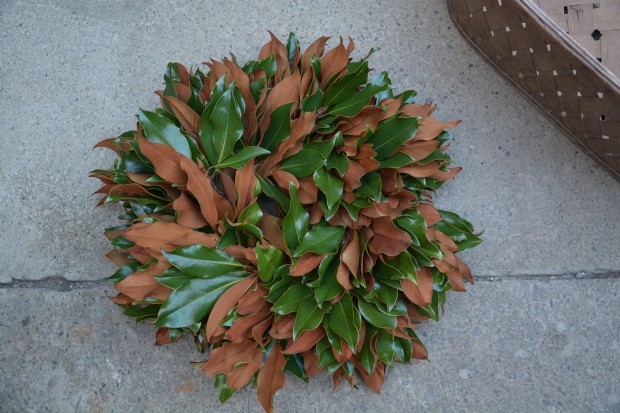 small-leaved-magnolia wreath.jpg