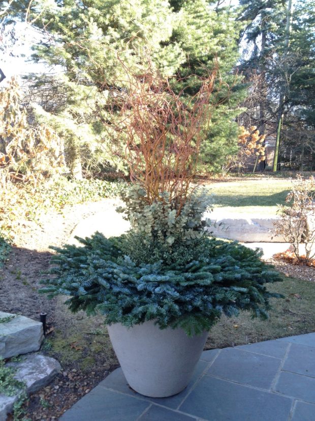 winter-container-arrangement.jpg