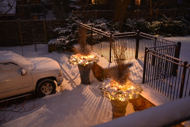 winter-driveway-garden.jpg