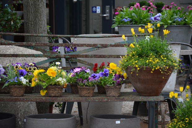 spring-pots-2014.jpg