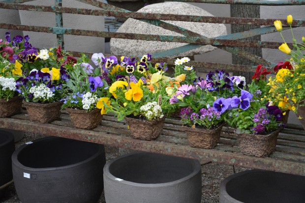 little-spring-pots.jpg