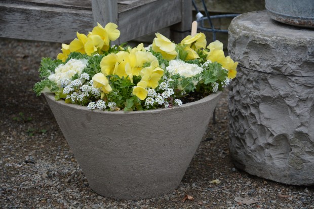 spring-pots.jpg