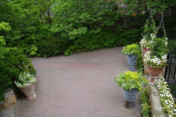 the driveway garden (4)