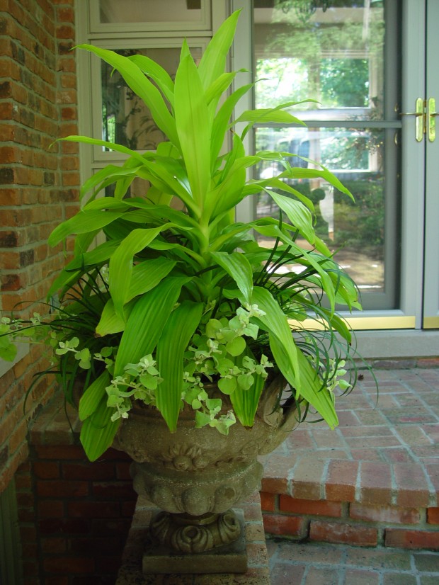 shade container 2014