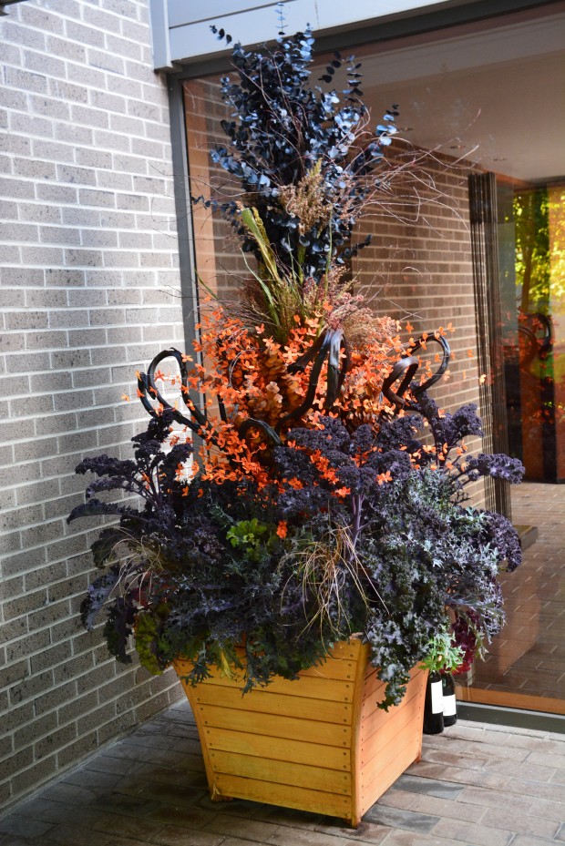 fall-container-planting.jpg