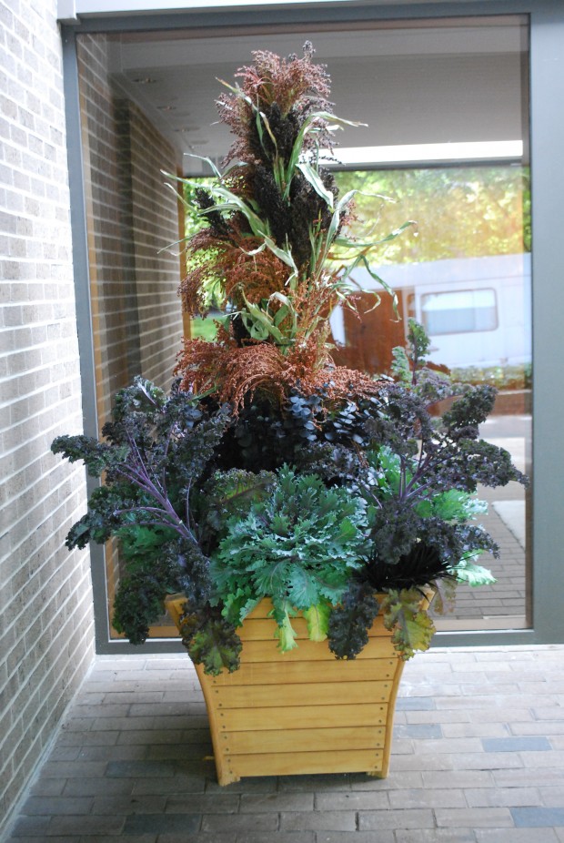 fall-container-with-broomcorn.jpg