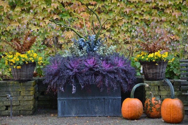 fall-container-planting.jpg