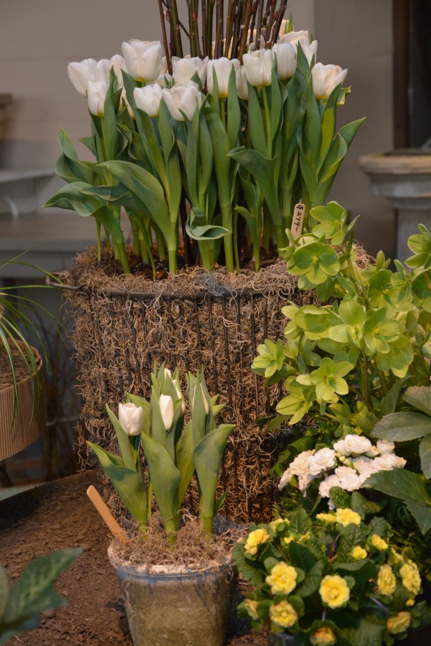 spring containers