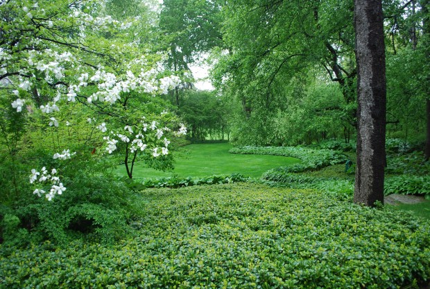 landscape in June