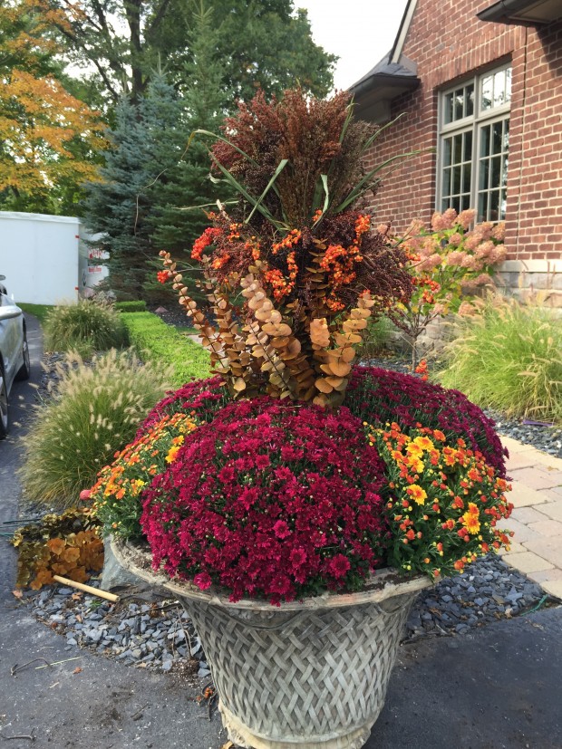 fall container planting 2015 (9)