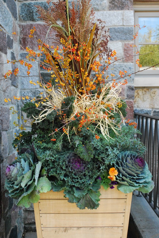 fall container plantings (1)