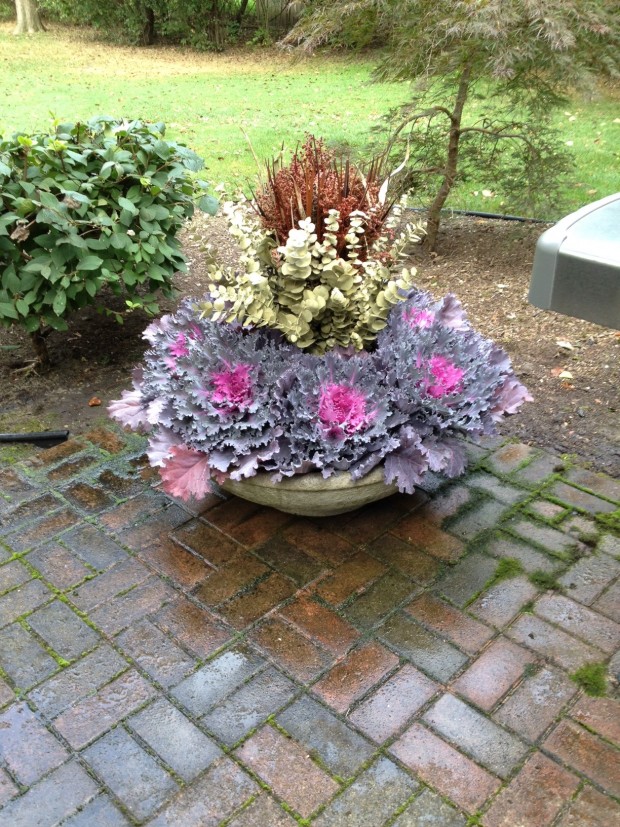 fall container plantings (12)