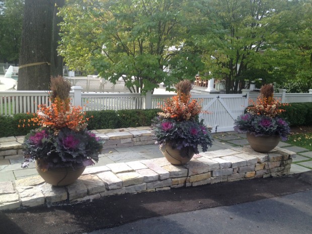 fall container plantings (21)