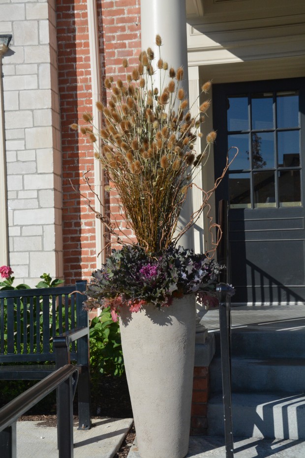 fall container plantings (31)