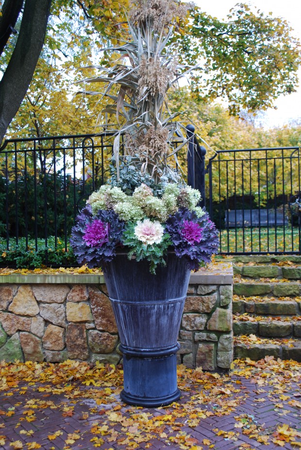 fall container plantings (32)