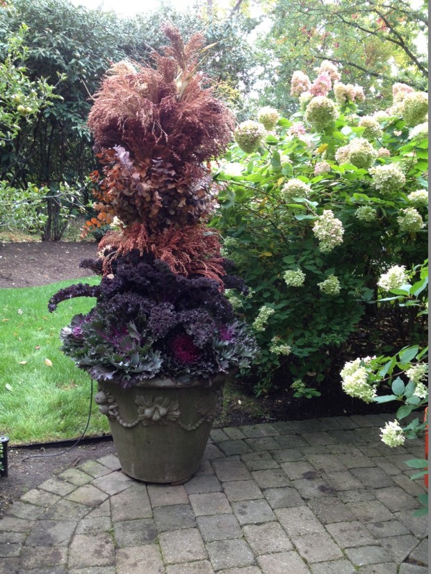 fall container plantings (4)