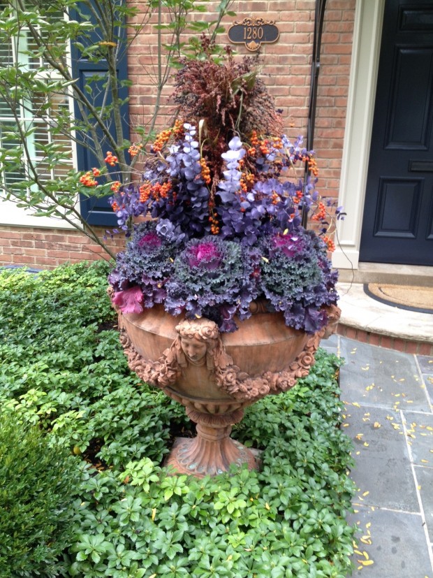 fall container plantings (40)