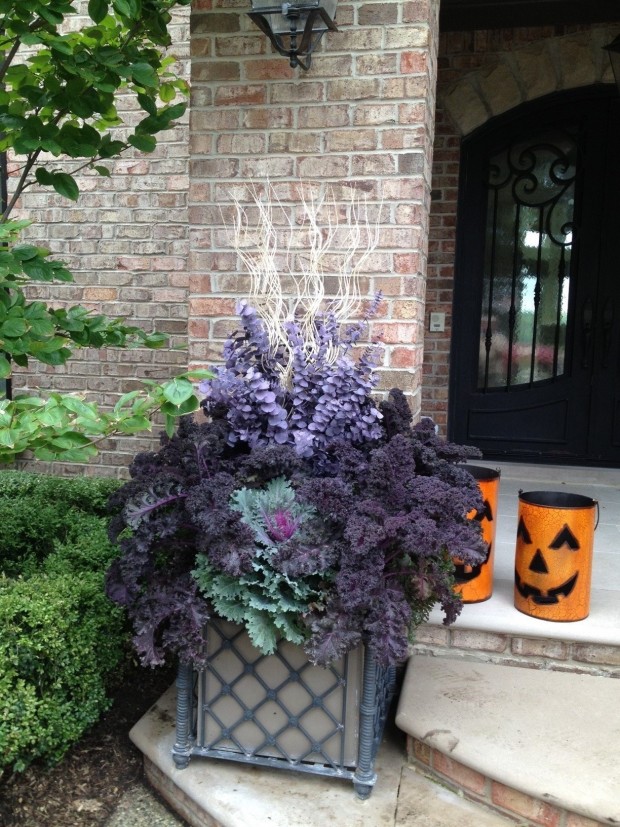 fall container plantings (5)