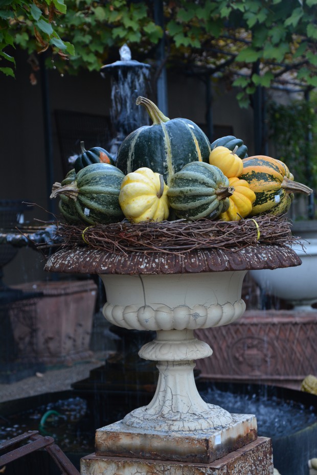 fall container plantings (6)
