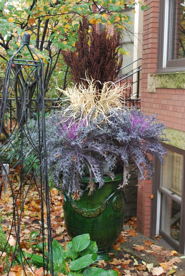 fall container plantings (7)