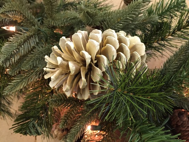 bleached pine cone