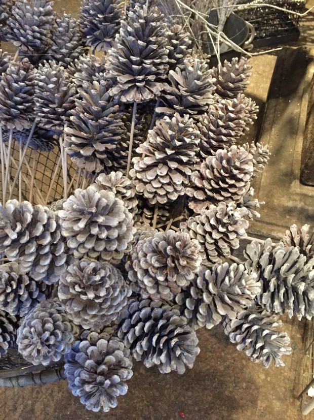 gray washed pine cones