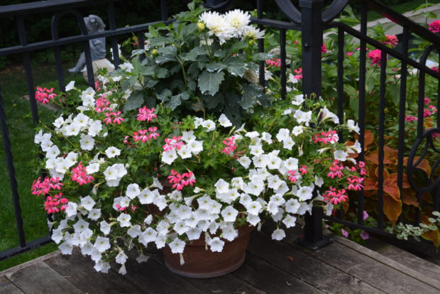 early September containers (3)