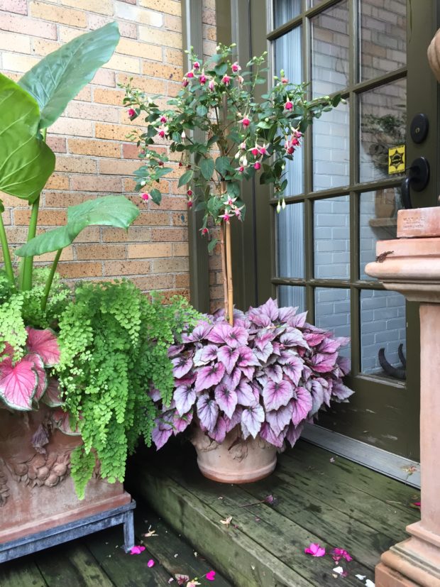 early September containers (9)